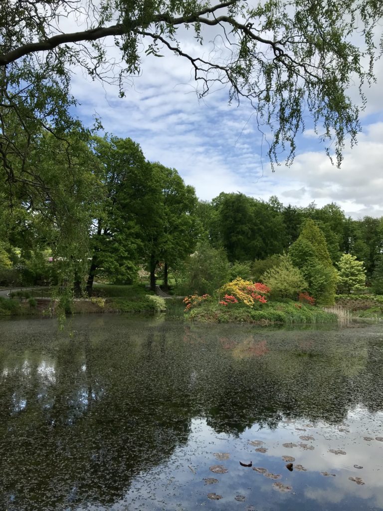 Arboretum Niemcza