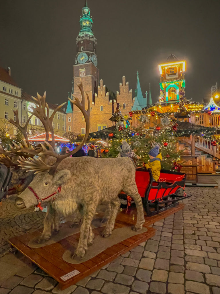 Elch at Christmas Market Wroclaw