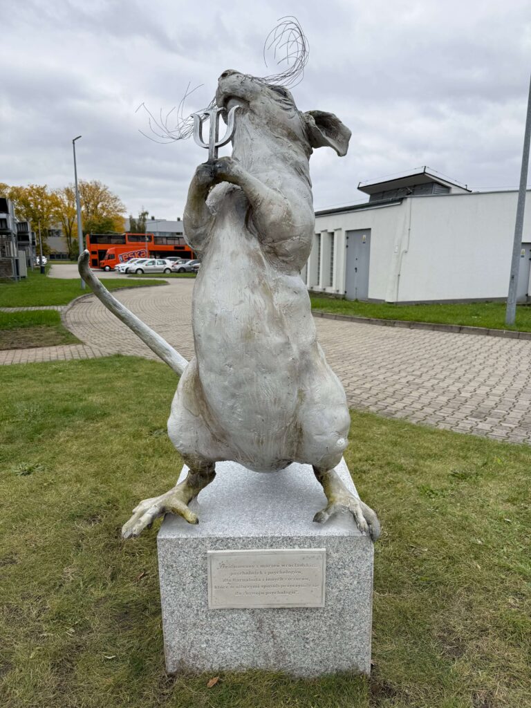 Die Ratte von Breslau