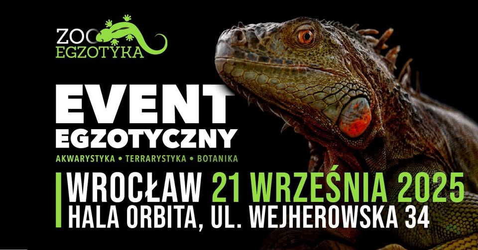 ZooExotics Wroclaw - September 21, 2025.