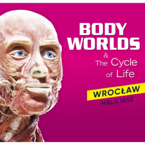Body Worlds